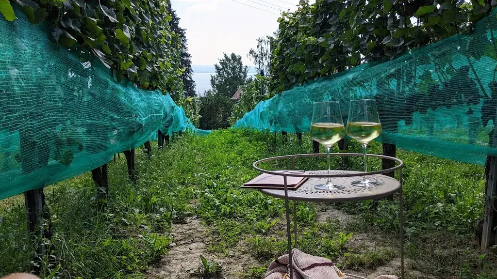 Lars Bender_Fräulein Seegucker_Stetten_review