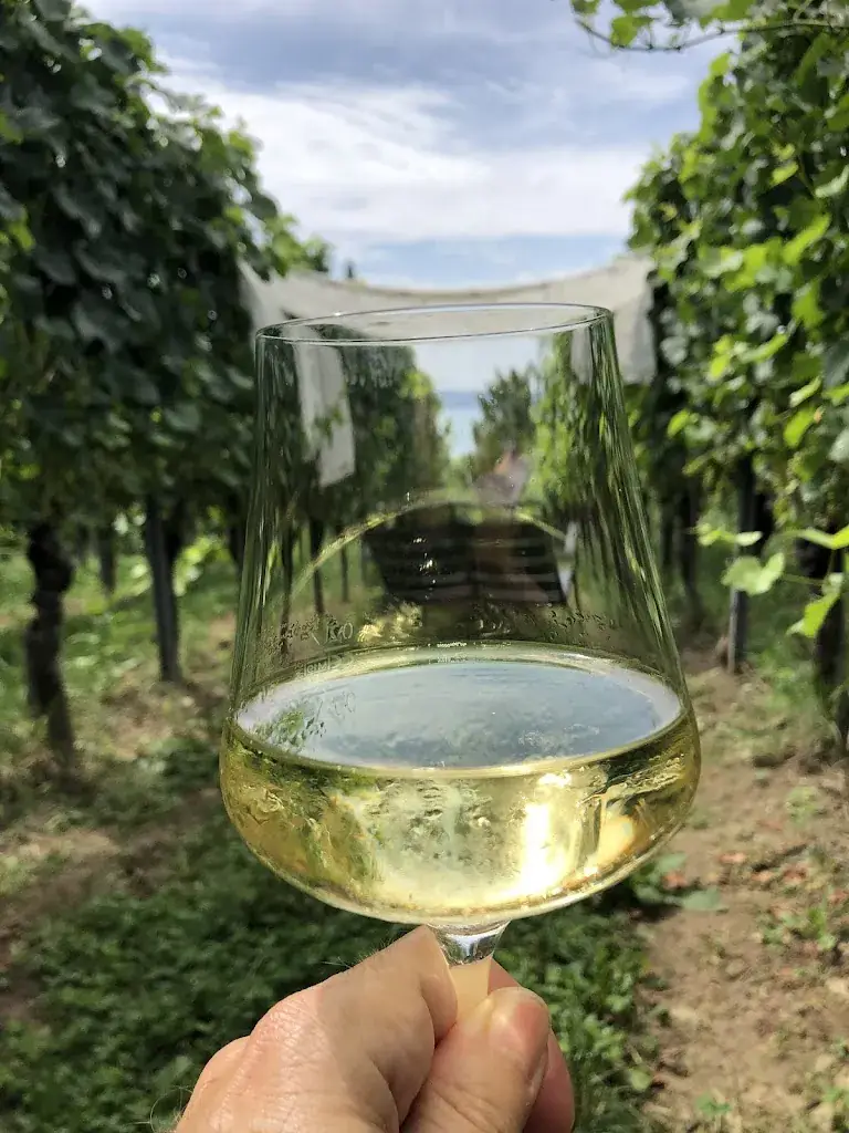 Serge Cordonier_Fräulein Seegucker_Stetten_review