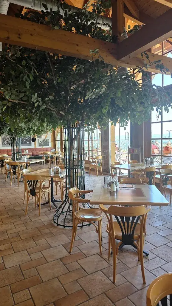 Jane_Landzeit Strengberg_Strengberg_avis