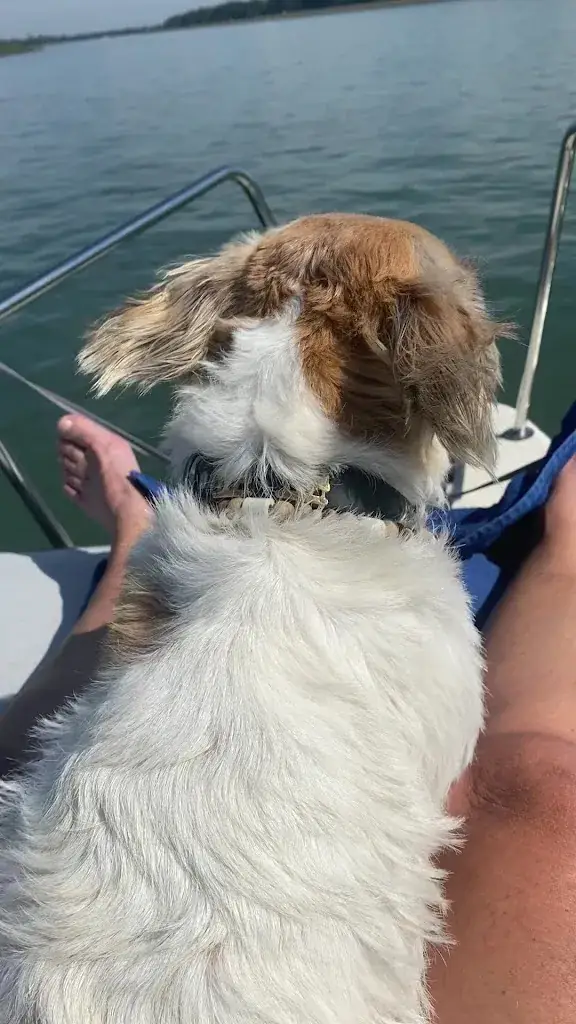 Yvonne Epple_Restaurant am Fluss_Stollhofen_avis