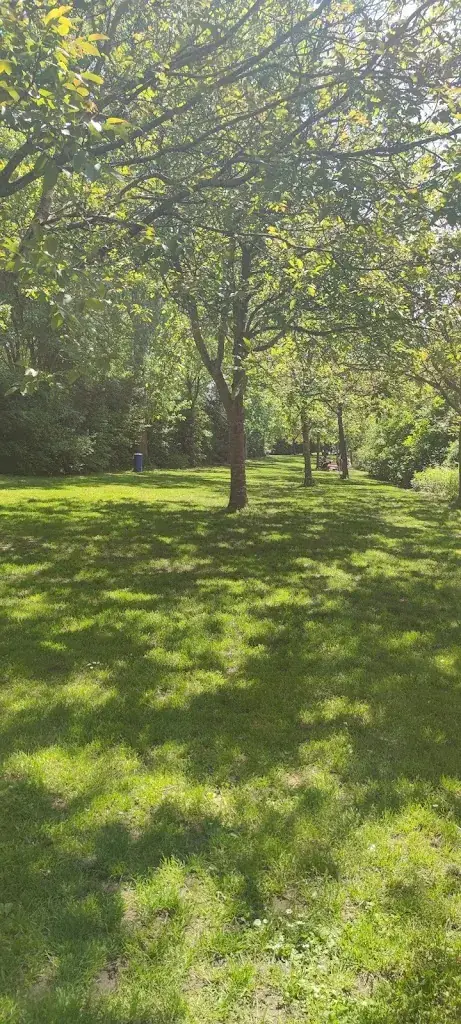 Rumpelbel_Hanfseeblick - Nicole Küpferle_Stollhofen_avis