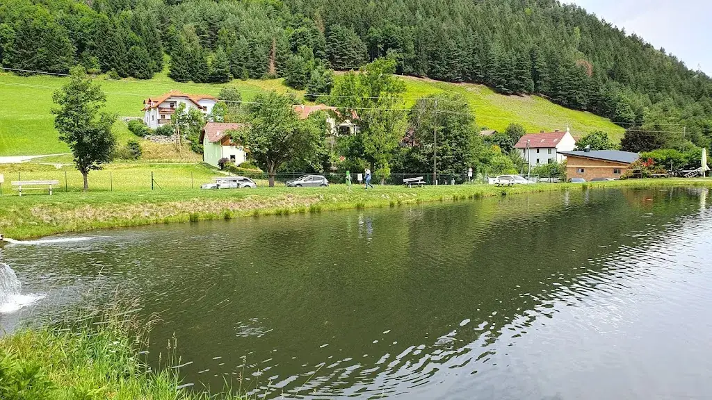 Pavel Nenkov_Wechselforelle Restaurant und Fischzucht_Trattenbach_recensione