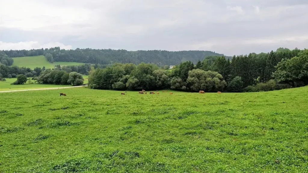 Lindenkeller_Tiefenbach_slider_image_3