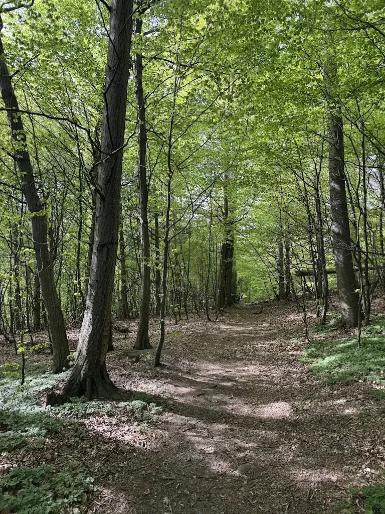 Ilana Sloutsky_Mirli_Tullnerbach-Lawies_recensione