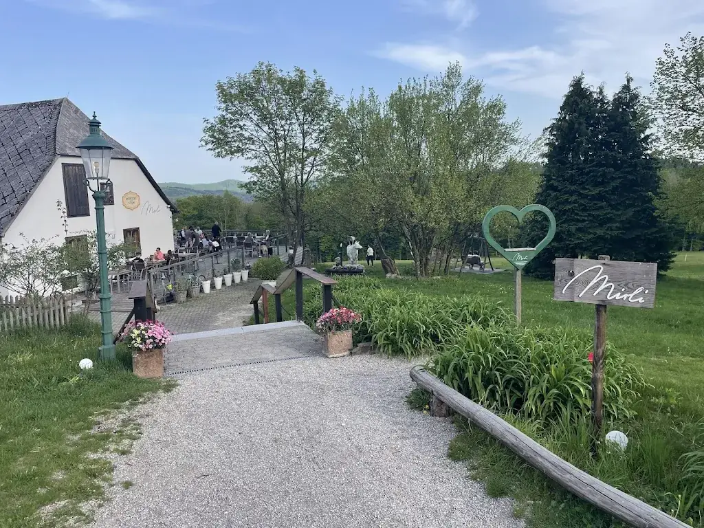 Britt Schwaabe_Mirli_Tullnerbach-Lawies_recensione