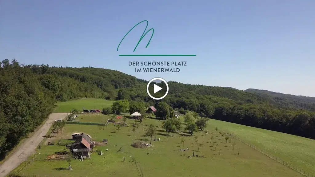 Mirli_Tullnerbach-Lawies_slider_image_2