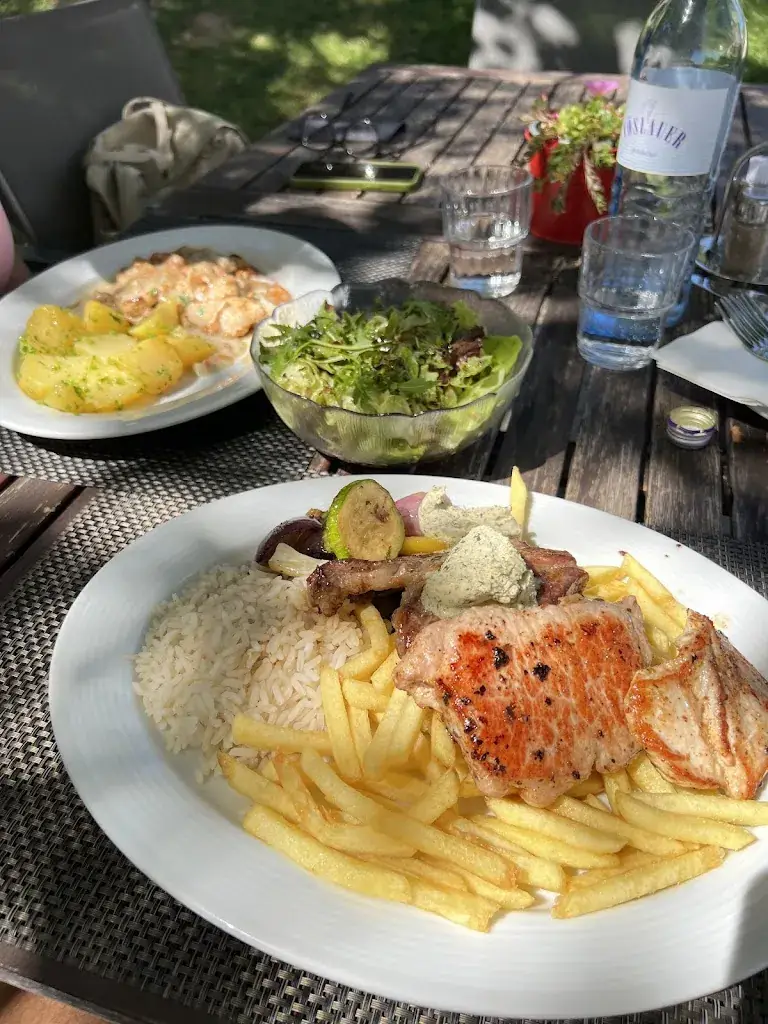 Darijo_Restaurant Wienerwaldhof Rieger_Tullnerbach-Lawies_Bewertung