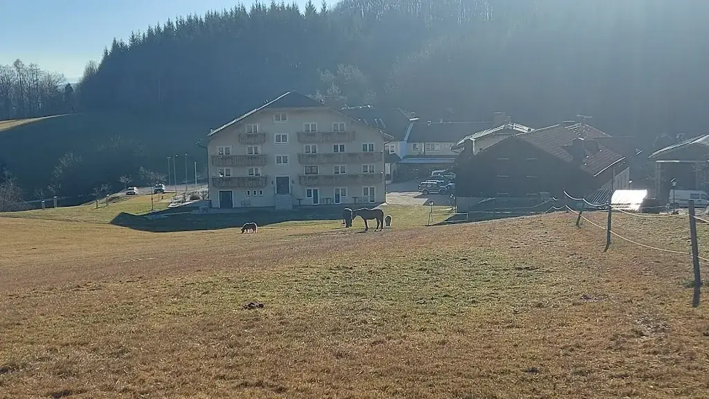 Rudolf Fleischhacker_Restaurant Wienerwaldhof Rieger_Tullnerbach-Lawies_Bewertung