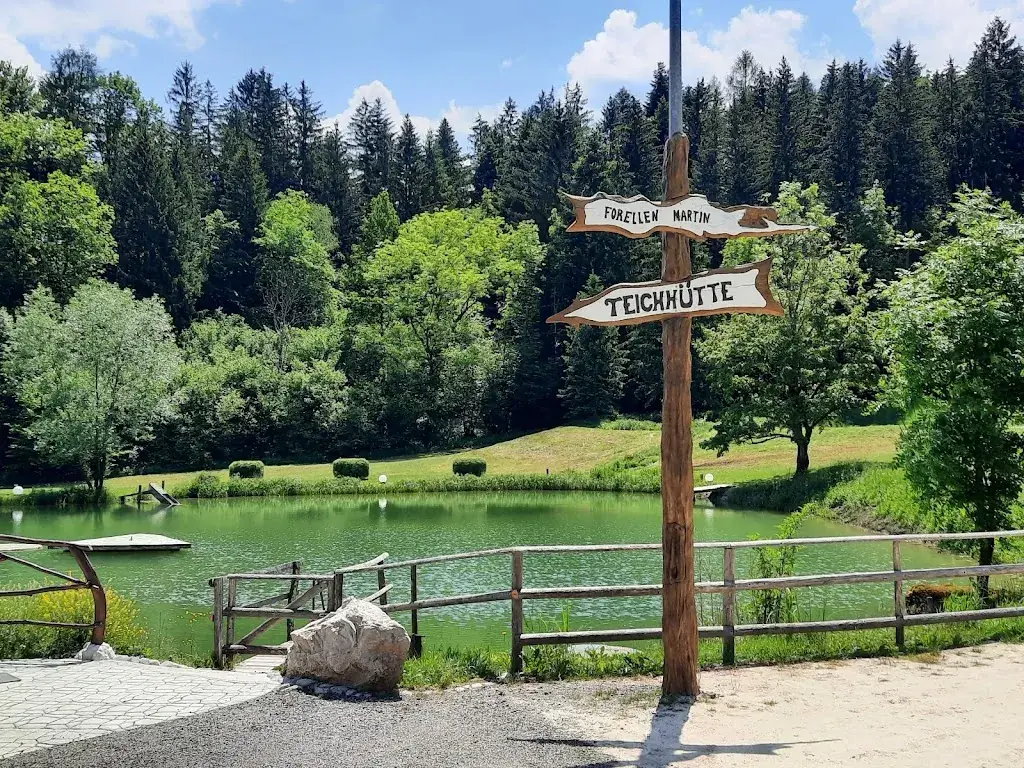 Andrea Chmelik_Teichplatzl_Türnitz_recensione