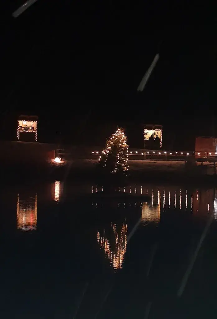 Silvia Wurm_Teichplatzl_Türnitz_recensione