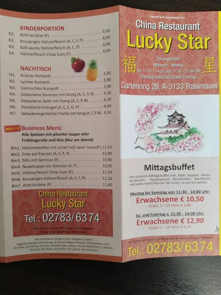 Menu_China-Restaurant Lucky Star_Traismauer_image_3