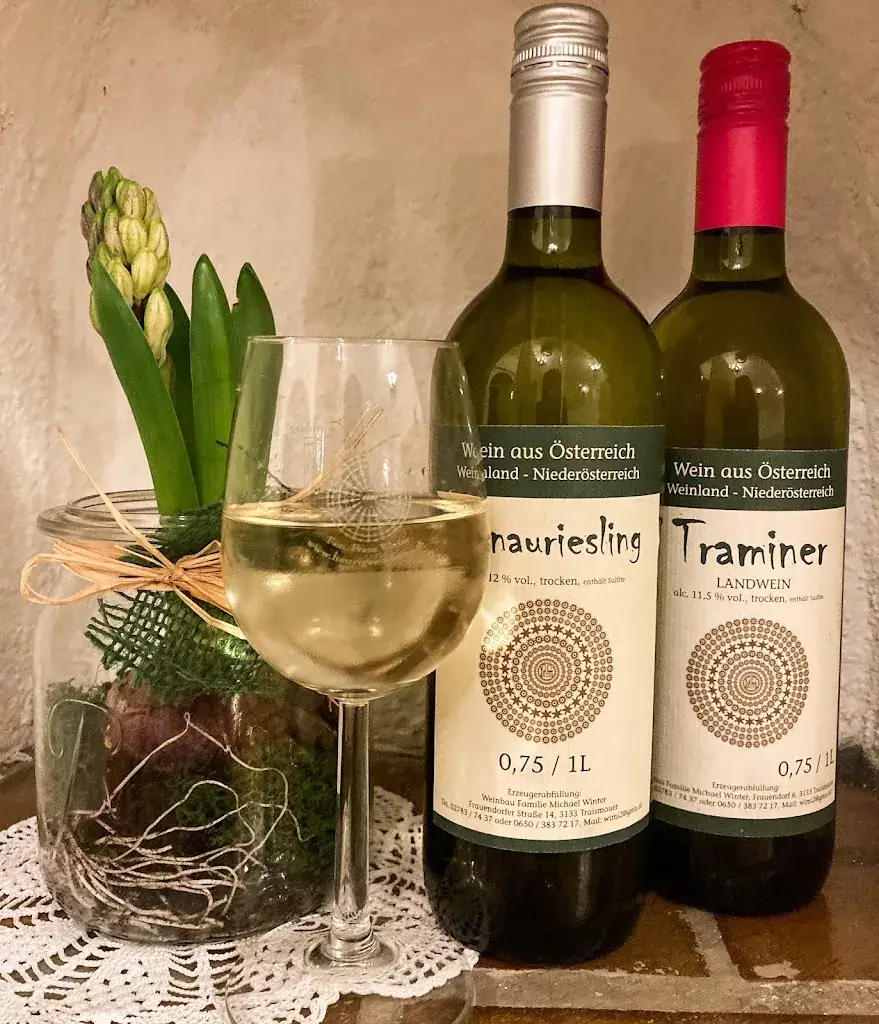 Heuriger Zum Hüterstern_Traismauer_slider_image_1