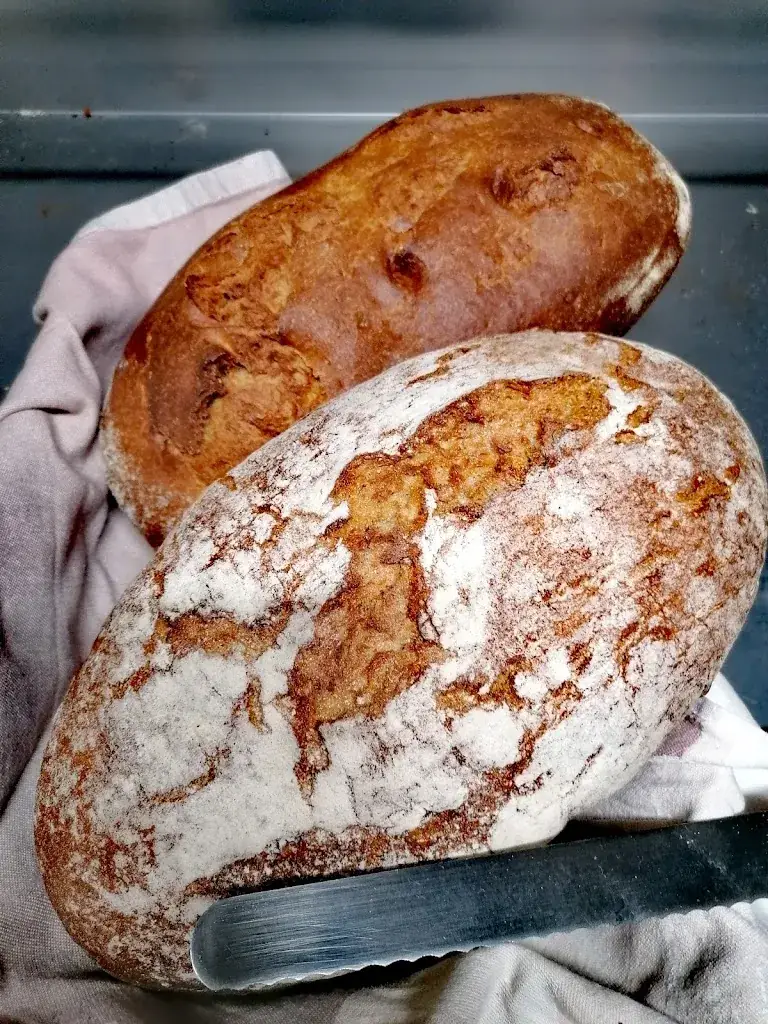 Engl am Campus_Traismauer_slider_image_2