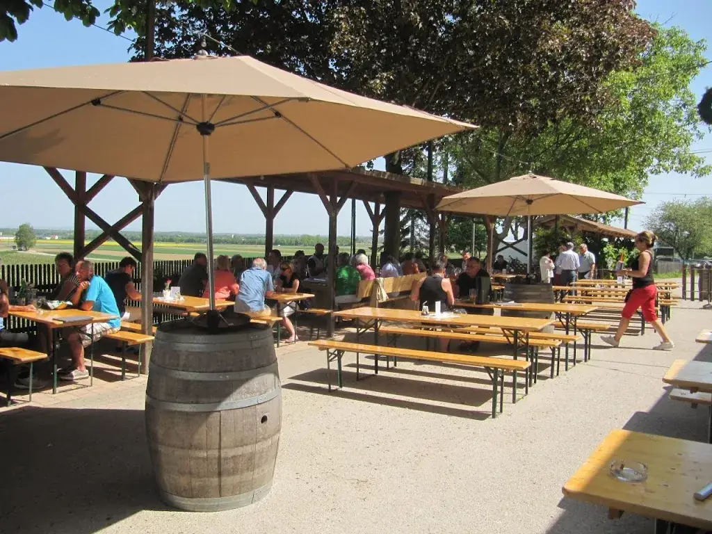 Weinbau Nolz restaurant in Traismauer