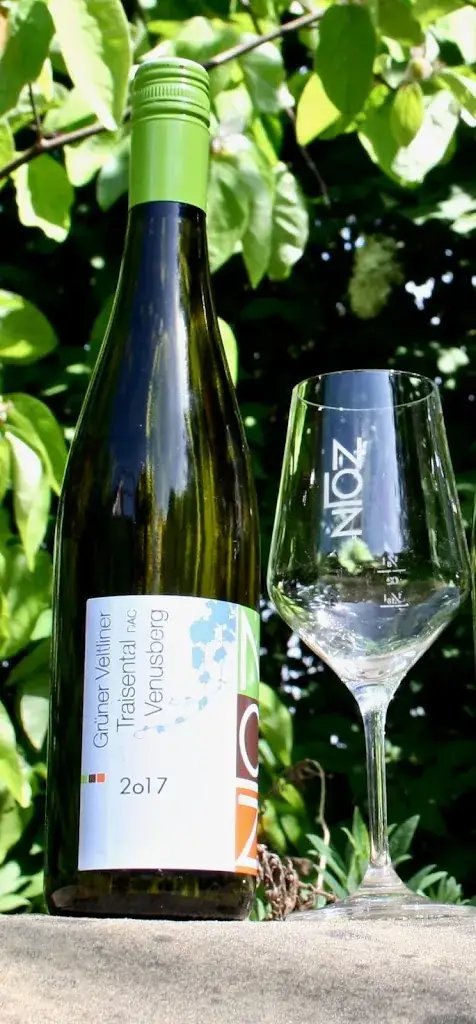 Weinbau Nolz_Traismauer_slider_image_3