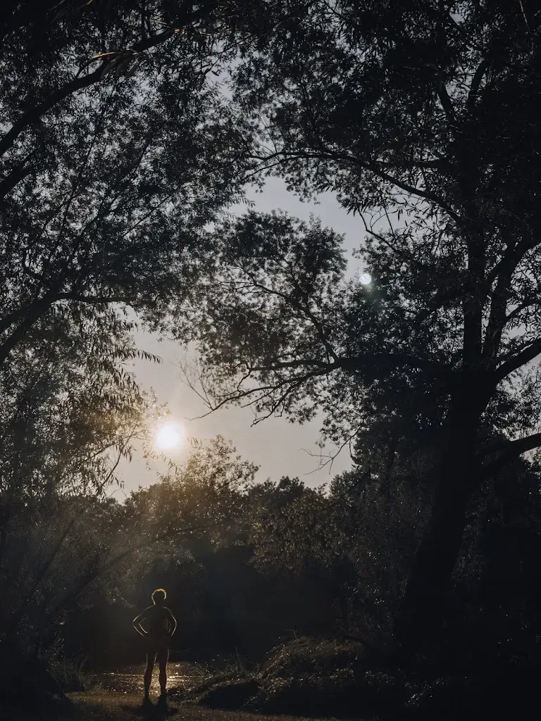 Johannes Klug_Gülers Kebap-Hütte_Traismauer_review