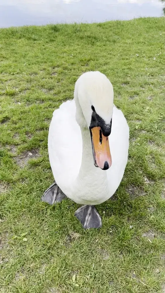 Gülers Kebap-Hütte_Traismauer_slider_image_3