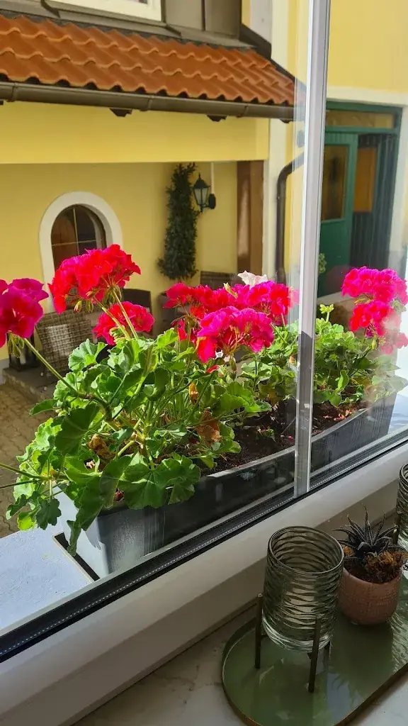 Ema Nastase_Gasthaus Pension Wallseerhof_Wallsee_review