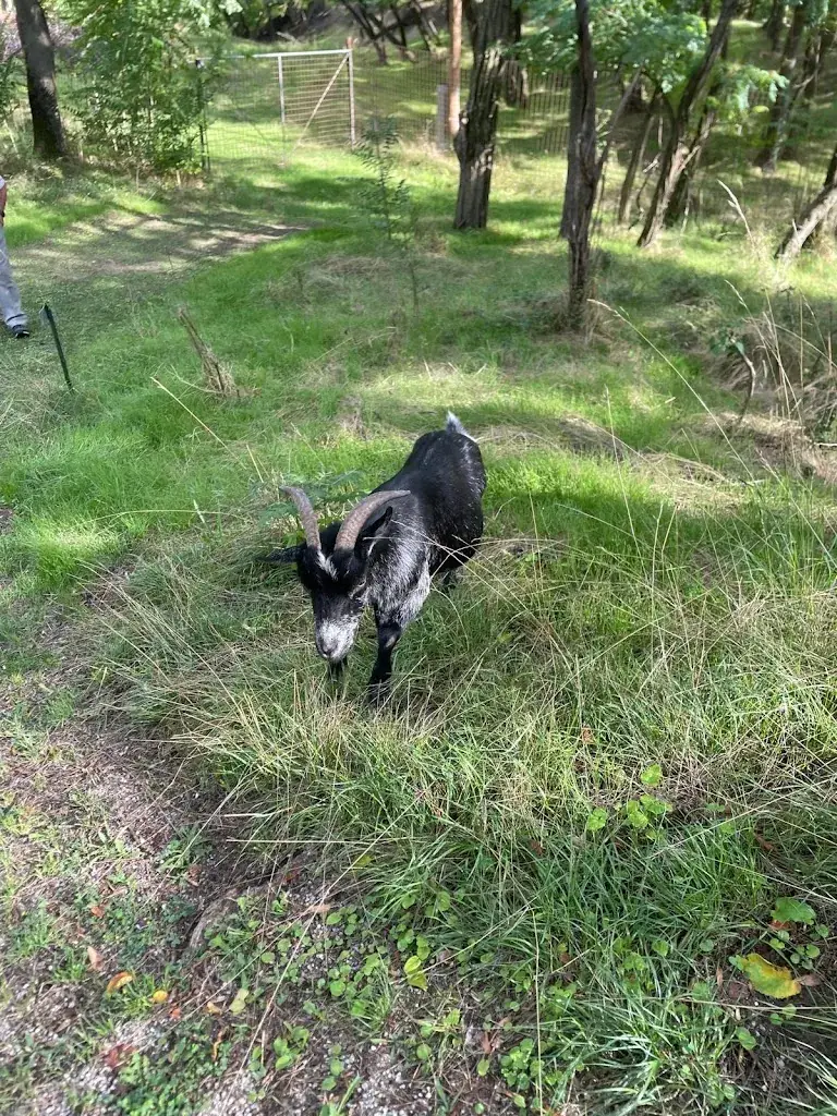 Herbert Bader_Urban-Mühle_Wilfersdorf_recensione