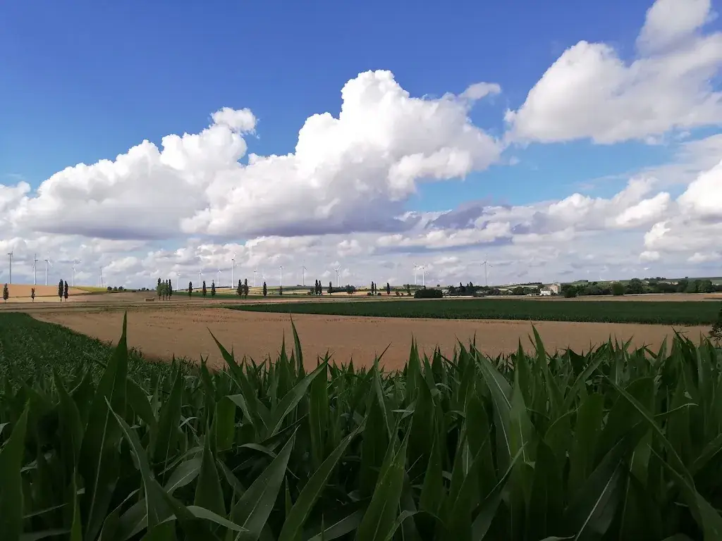 Ewi_Urban-Mühle_Wilfersdorf_recensione