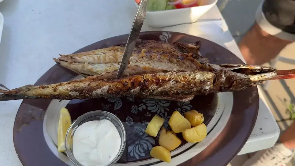 WaterS Lin_B10 STECKERLFISCH&MORE_Wilfleinsdorf_avis