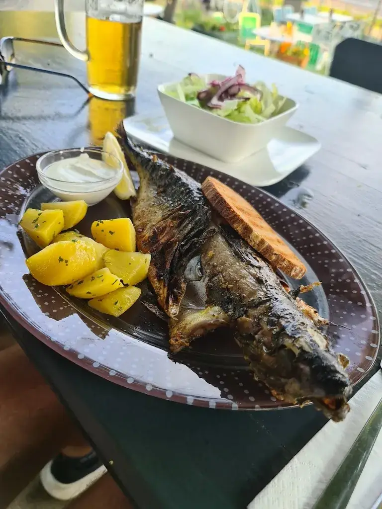 Nicole Schmidt_B10 STECKERLFISCH&MORE_Wilfleinsdorf_avis