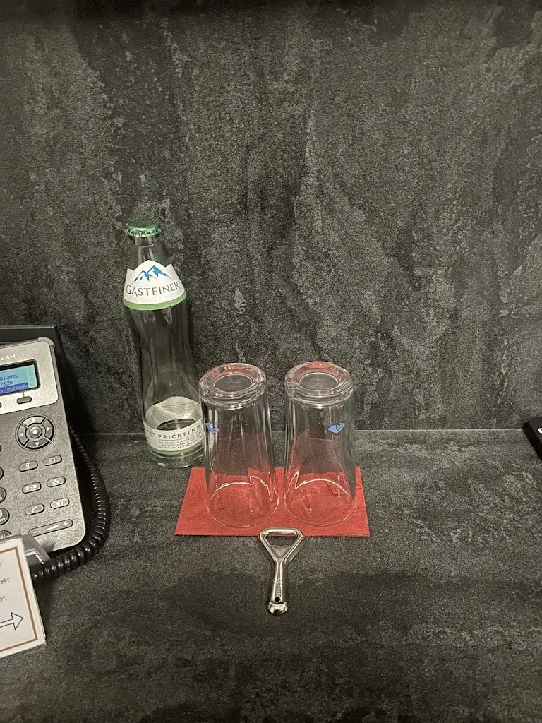 Ірина Сохан_PLAZA INN Wiener Neustadt_Winzendorf_review