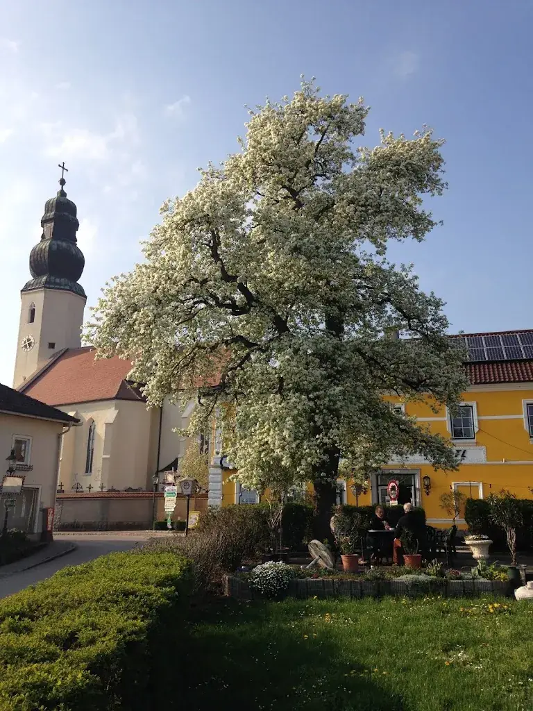 Gasthof Zatl_Wolfsbach_slider_image_3