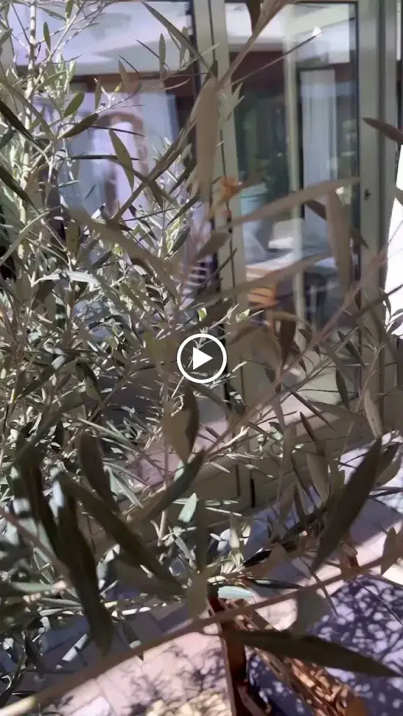 Der Graf im Stadthaus Neusiedl_Neusiedl am See_slider_image_2