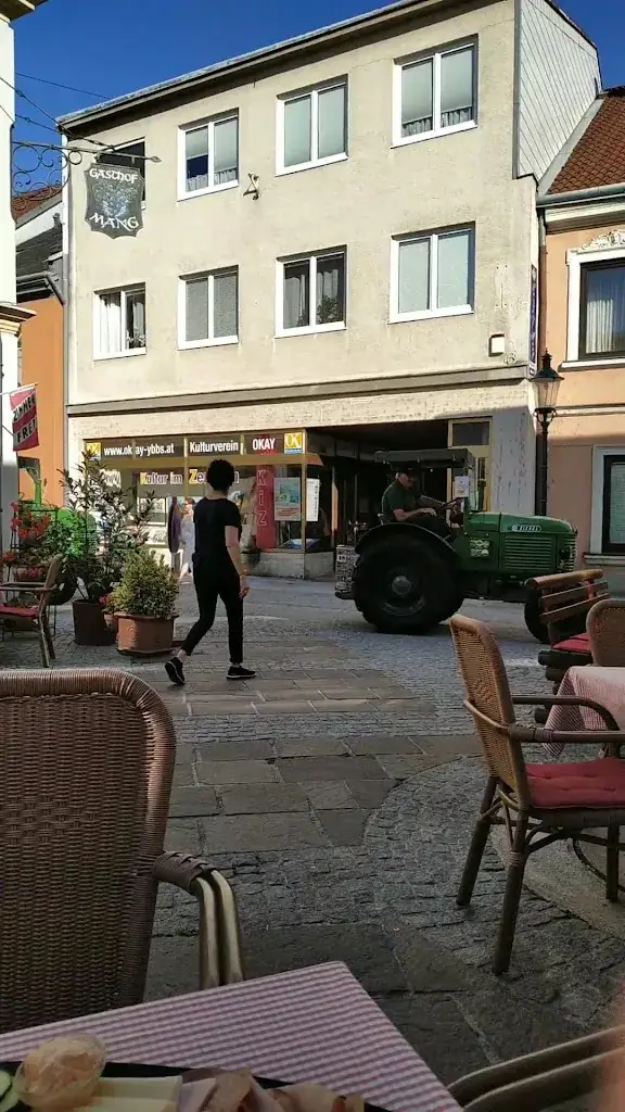 Gasthof Mang_Ybbs an der Donau_slider_image_2