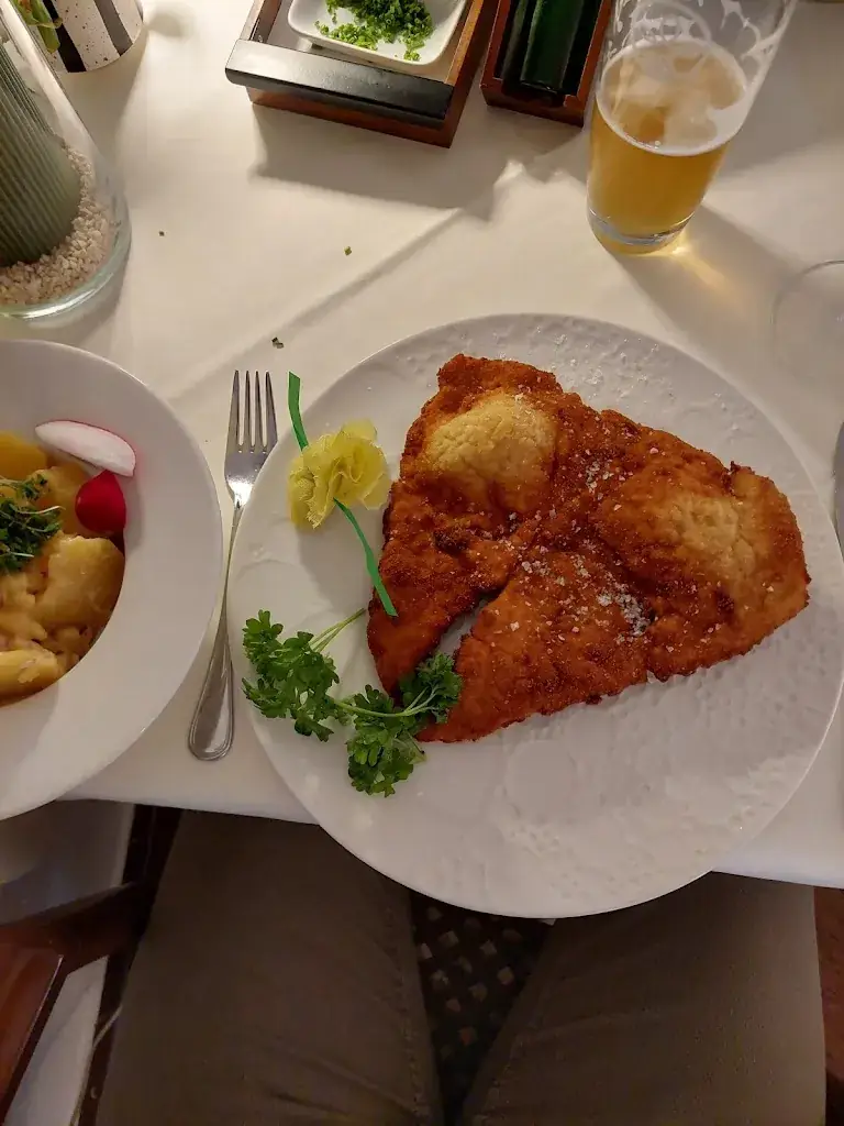 Ondřej Janáček_Babenbergerhof_Ybbs an der Donau_recensione