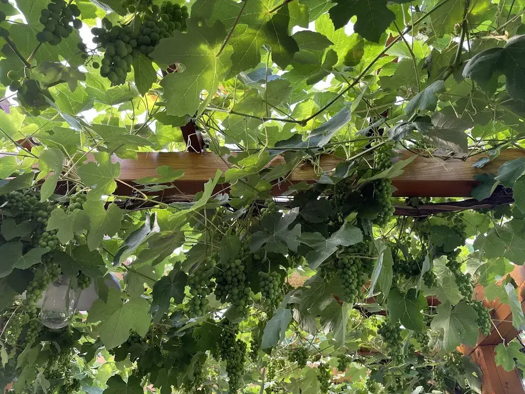 Blazej Kulinski _Heurigenstadl Ehrenhöfer_Neustift an der Lafnitz_review