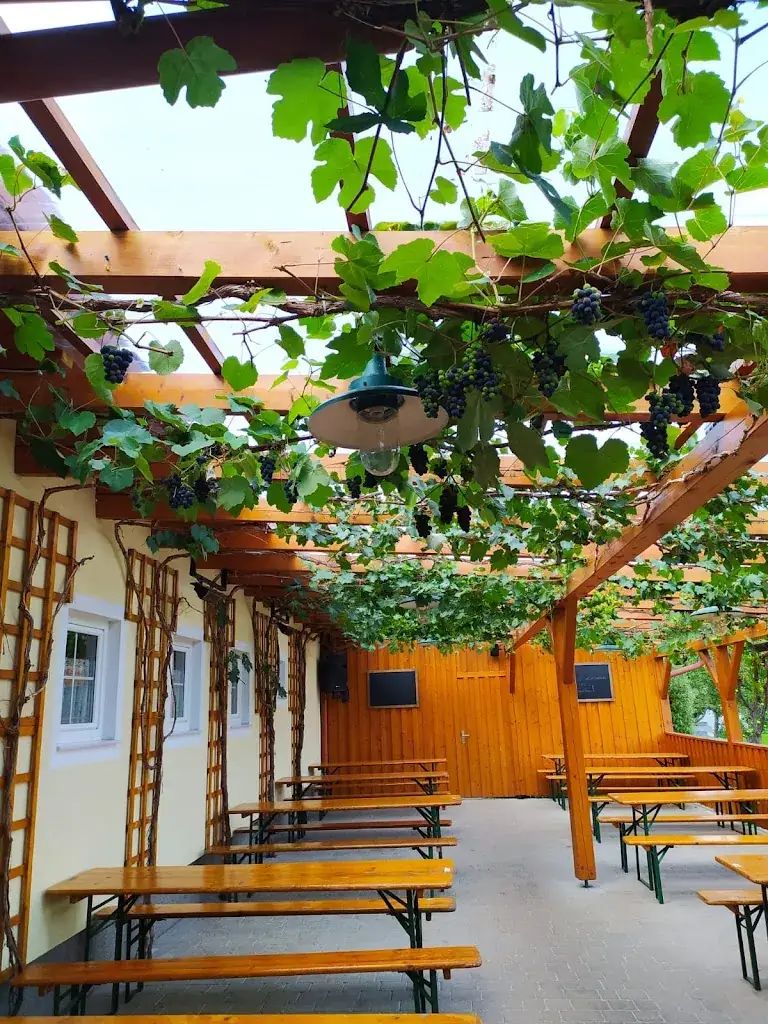 Salvatore Palermo_Heurigenstadl Ehrenhöfer_Neustift an der Lafnitz_review