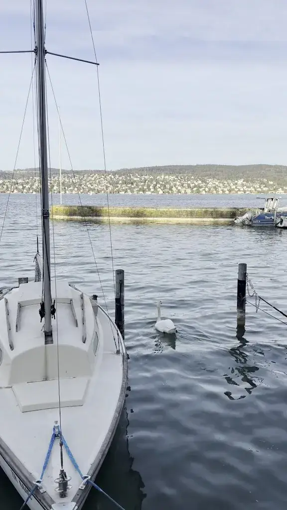 Monica’s Taste_Mönchhof am See_Mönchhof_review