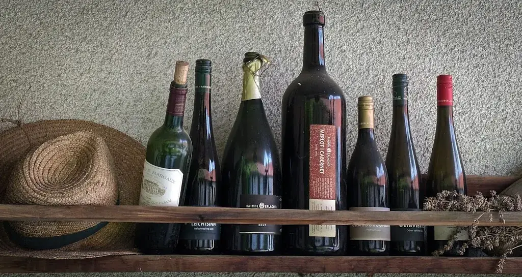 Menu_Bahnhof Wolkersdorf_Wolkersdorf im Weinviertel_image_4