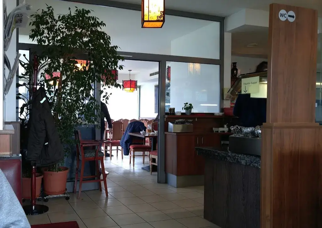 Leon Hikari_China Restaurant Panda_Wolkersdorf im Weinviertel_review