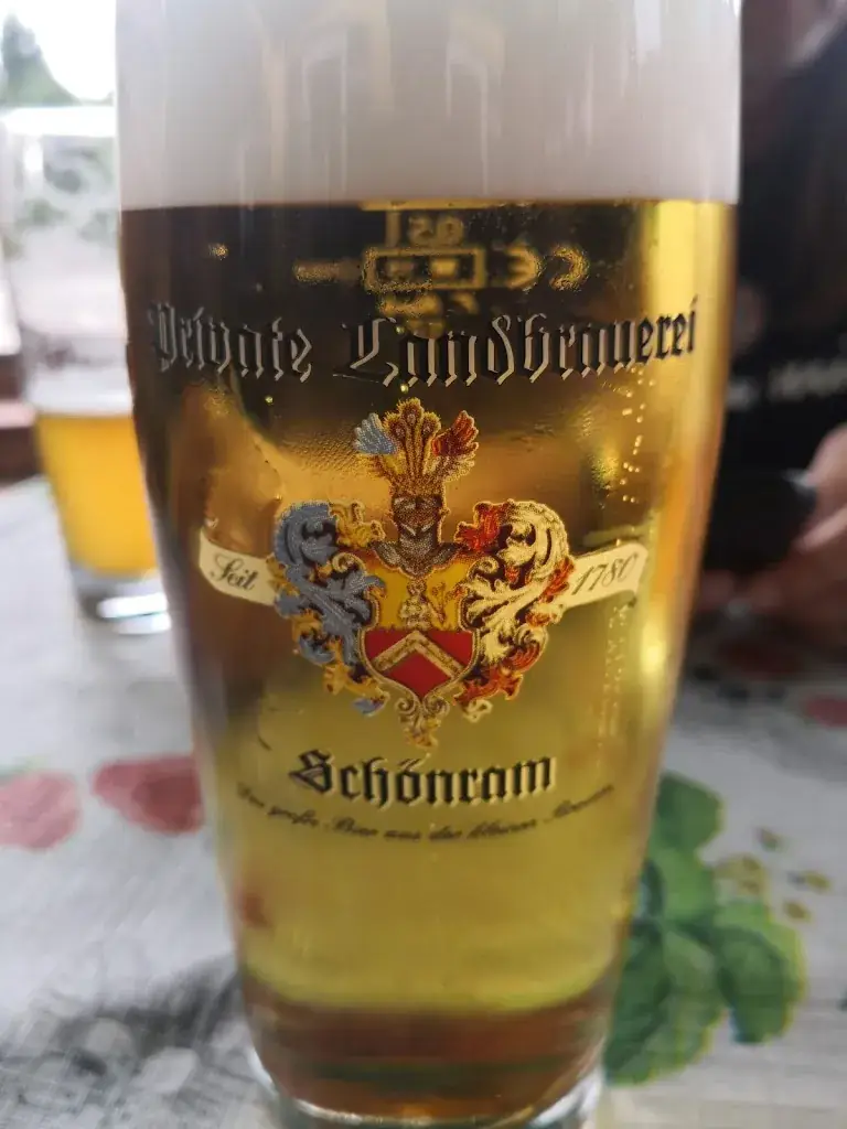 Menu_Altwirt - Der Schnitzelwirt_Anger_image_6