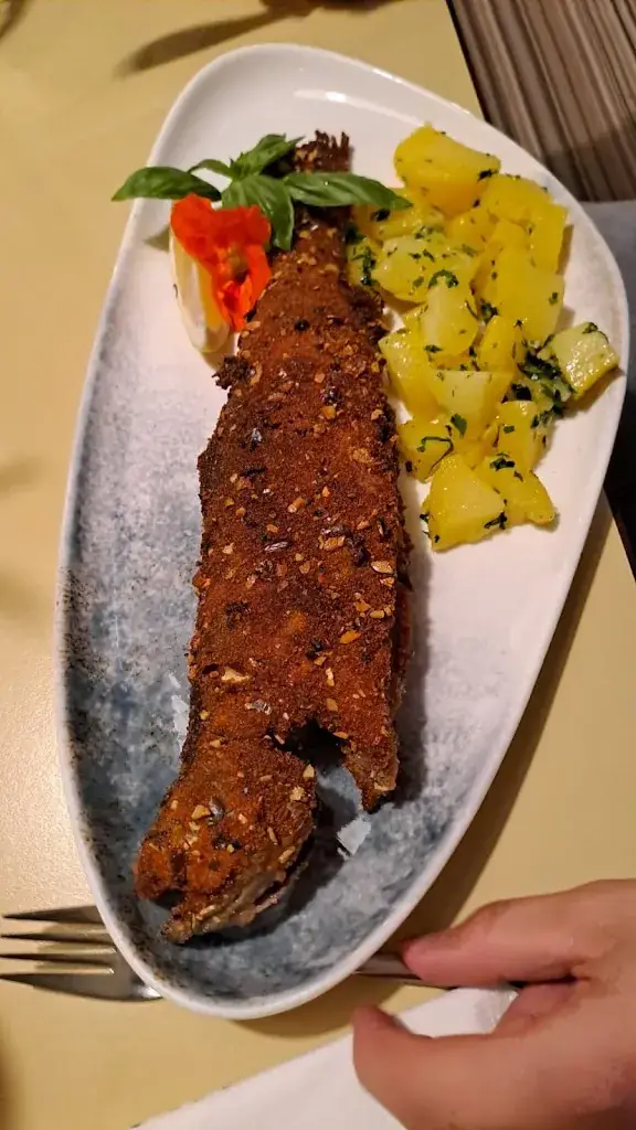 Menu_Forellen Gasthaus Falkenbauer Sallegger_Anger_image_2