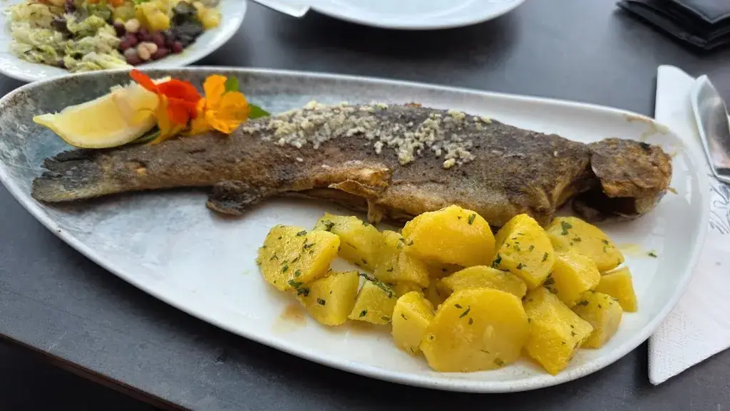 Dominik G._Forellen Gasthaus Falkenbauer Sallegger_Anger_avis