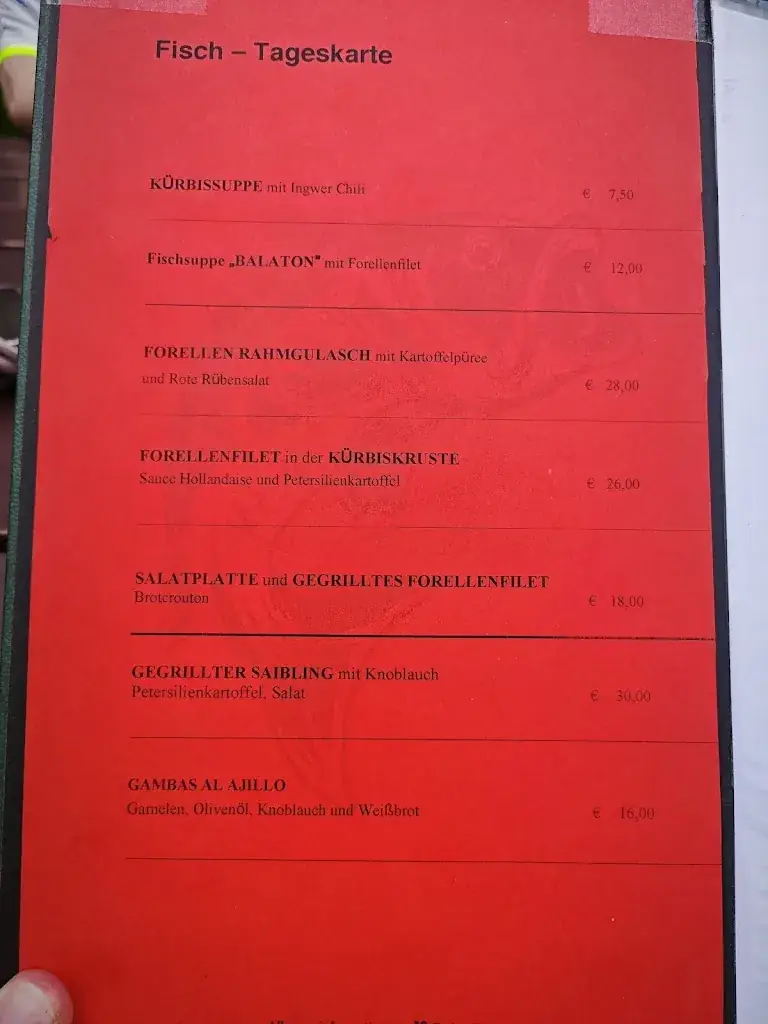 Menu_Jausenstation Pension Wandalm_Abtenau_immagine_3