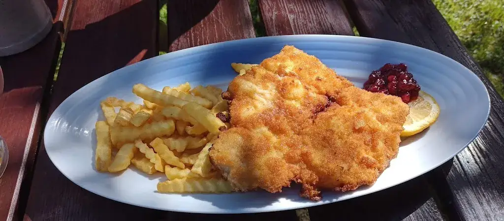 Menu_Jausenstation Pension Wandalm_Abtenau_immagine_9