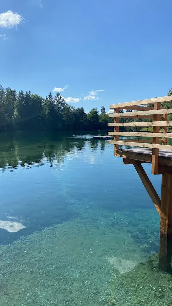 Magic Delphin_Waldbad Anif Gastronomie_Anif_review