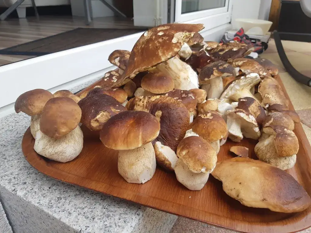 Menu_Landgasthof Alpenblick_Altenmarkt im Pongau_image_6