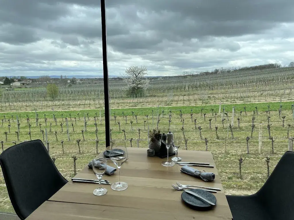 Cristina P_ROSSO.19_Mönchhof_recensione