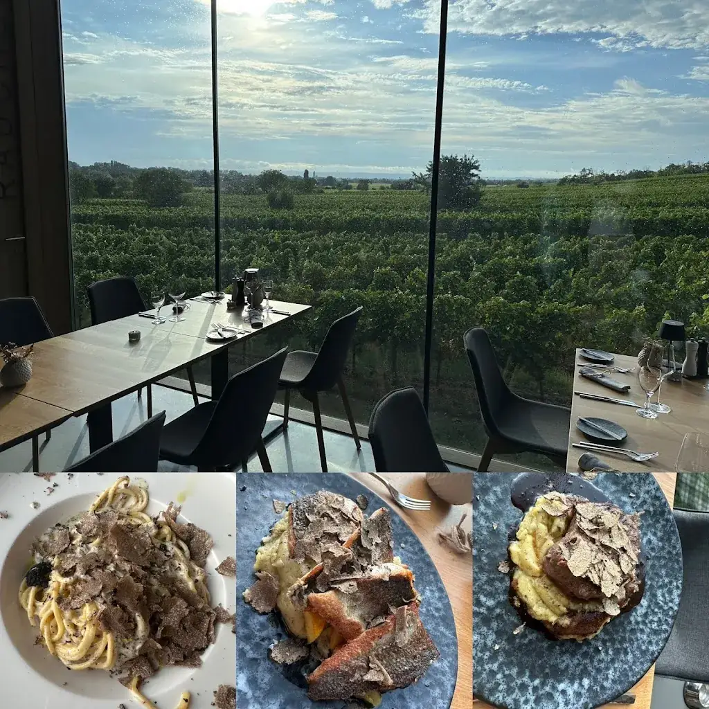 ROSSO.19_Mönchhof_slider_image_3