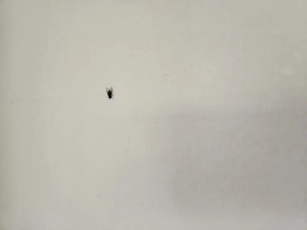 Z_Hotel LukasMayr_Bruck an der Großglocknerstraße_recensione