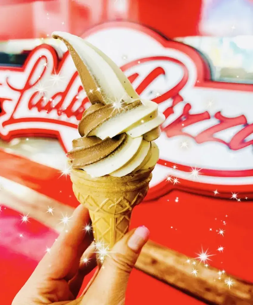 Menu_Ladi's Pizza Diner_Eben im Pongau_image_5