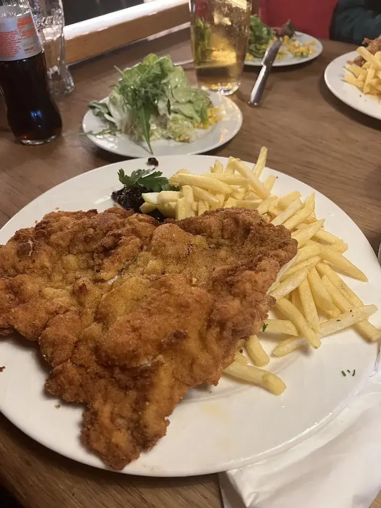 Diana Bratilescu_Der Dorfwirt - Ihr Schnitzelparadies_Ebenau_recensione