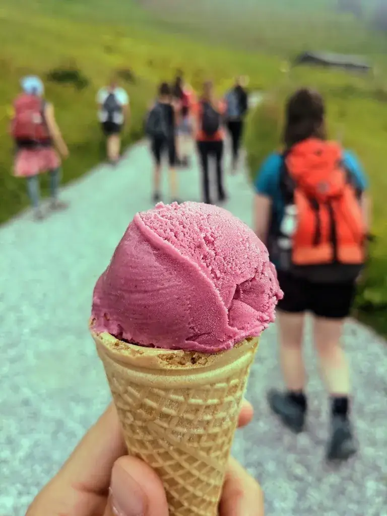 Menu_Zachhofalm TEH-Kräuteralm_Dienten am Hochkönig_image_6