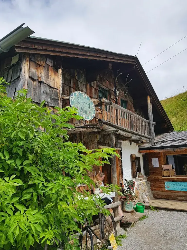 TH3 TR/\V1R_Zachhofalm TEH-Kräuteralm_Dienten am Hochkönig_avis